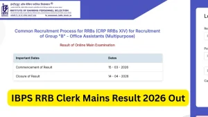 IBPS RRB Clerk Mains Result 2026